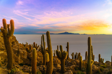 View on Sunset on Incahuasi island by Uyuni lake in Bolivia