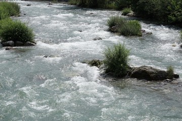 Im Fluss - Stromschnellen