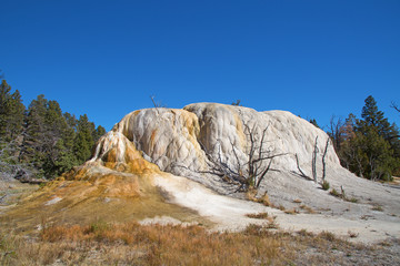 Mammoth hot springs