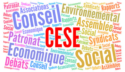 CESE, Conseil Economique Social et Environnemental nuage de mots