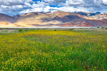 Landscape around Tso Moriri Lake in Ladakh, India