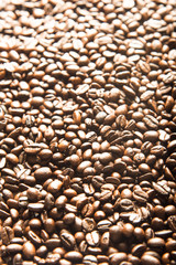 coffee beans
