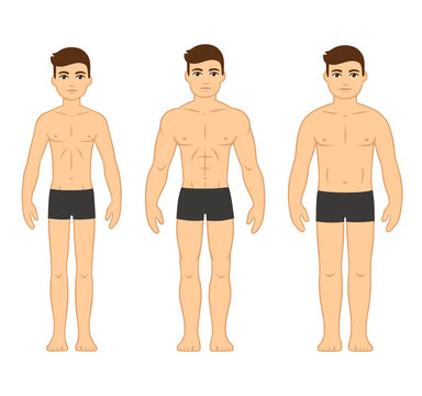 Men Body Types