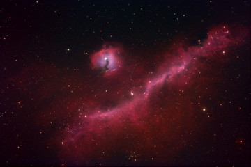 Obraz na płótnie Canvas IC2177 - The Seagull nebula complex