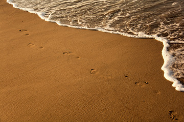 Background of sandy shore at sunset