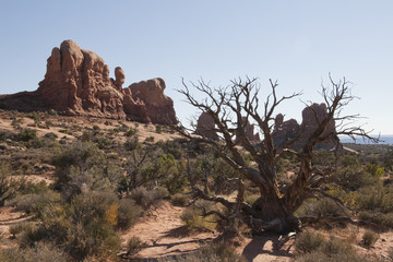 Natural rock formation at Arches National Park, Utah, USA.