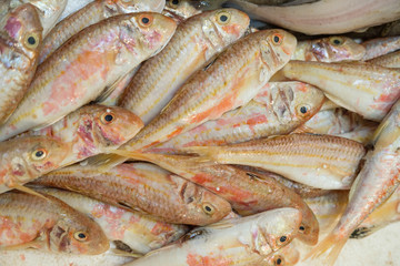 Raw fish