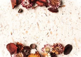 Fall background with dry flowers and potpourri