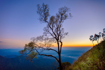 Fototapeta premium Beautiful sunrise view at Den Chang Non, Pha Peung, Pua, Nan, Thailand. Dramatic morning dawn mountain background.