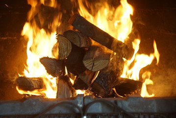 Fire burning in the fireplace close-up