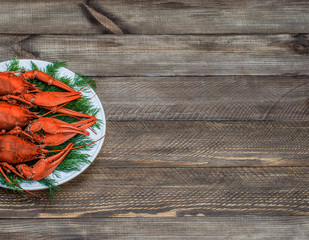 Boiled red crawfish on a white plate with green fennel on a wooden background. Tasty red steamed rawfish closeup with  glass of beer on wood table, seafood dinner, nobody. Copy space for text.