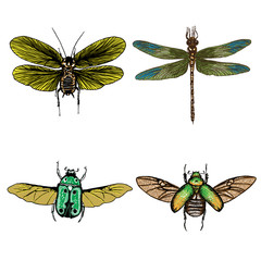 Beautiful boho round set with mandala. Sacred Geometric circle elements made in hand drawn ethnic art. Flash tattoo sketch. Astrology, alchemy, spiritual magic symbol hatching. Vector.