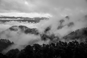 Silhouette moody sea of fog over valley with mountain background at hazy sunrise. Black and white misty evergreen mountain landscape.