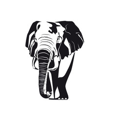 Elephant, black and white image. Vector illustration