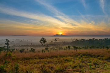 Fototapeta na wymiar Dramatic fog, sunrise with beautiful vivid and romantic blue sky at Thung Sa Lang Luang, between Phitsanulok and Petchabun, Thailand. 