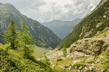 Fototapeta na wymiar Hiking in Swiss Alps