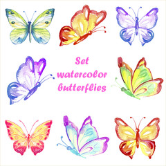 Set multicolored watercolor butterflies