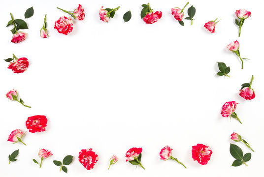 Flowers composition. Frame made of fresh roses. Top view
