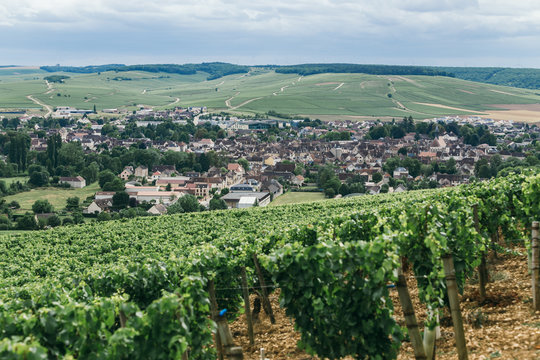 view of the town of Chablis