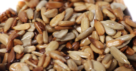 Sonnenblumenpanorama