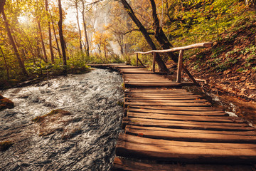 Wooden bridge through the river in autumn season