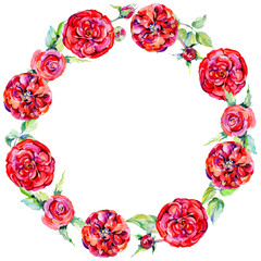 Wildflower rose flower wreath in a watercolor style. Full name of the plant: rose. Aquarelle wild flower for background, texture, wrapper pattern, frame or border.