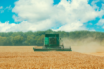 Obraz premium Photo of combine harvester that is harvesting crop. Beautiful background of a field with golden ripe ears of wheat and blue sky