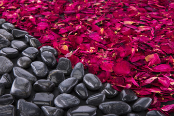 Obraz premium the background of black pebbles and dried rose petals.