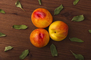 Ripe nectarines with leaves. On a dark wooden background
