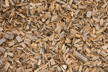 Holzstückchen auf Waldweg als Hintergrund