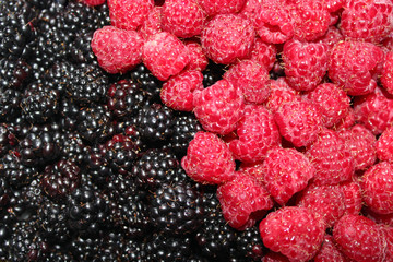 blackberry and raspberry