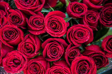 Rosas rojas, ramo de flores