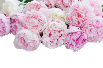 Fresh peony flowers colored in shades of pink close up border isolated on white background