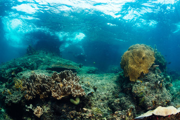 Fototapeta na wymiar Surf hitting on reef - scuba diver on background,