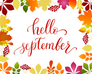 Vector lifestyle lettering hello september © Alexandra
