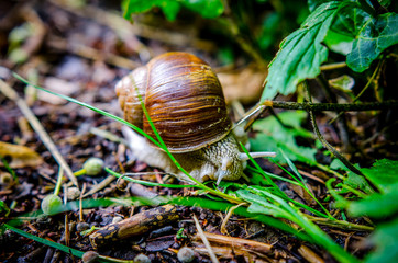 Slow down by nature