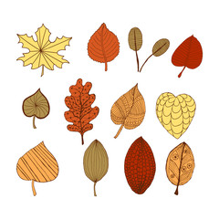 Set of autumn doodle decorative leaves