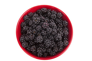 Fresh blackberry from the forest in a red bowl. Isolated on white.