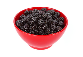 Fresh blackberry in a red bowl. Isolated on white white background.