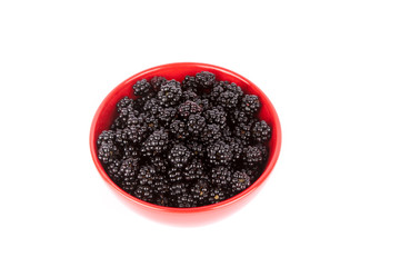 A bowl of fresh blackberry from the forest. Isolated on white white background.