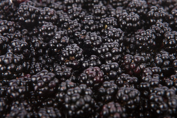 Fresh blackberries from the forest