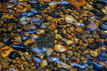 Stones under water