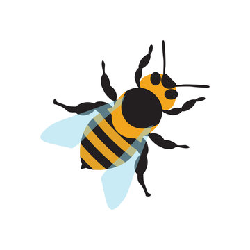 Flat icon bee isolated on white background. Vector illustration.