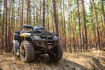 ATV Quadbike in a pine forest