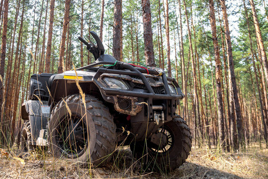 ATV Quadbike In A Pine Forest. Summer Time.