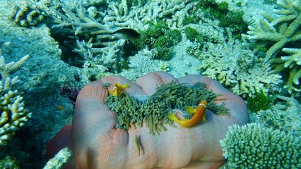Sea Floor