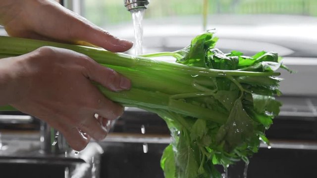 Woman washes greens under streaming water at the kitchen, making the salad, fresh greens nad vegetables, vitamins and healthy food, vegetarial meals