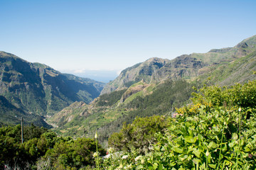 flora and flowers in the valley of the center of volcanism of san vicente in madeira