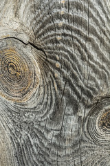 Dark texture of old natural wood with cracks from exposure to sun and wind