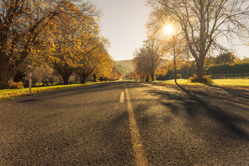 Obraz premium Autumn roads New Zealand